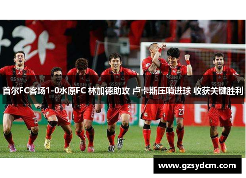 首尔FC客场1-0水原FC 林加德助攻 卢卡斯压哨进球 收获关键胜利