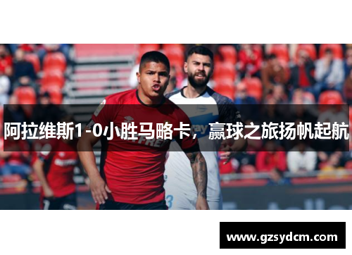 阿拉维斯1-0小胜马略卡，赢球之旅扬帆起航